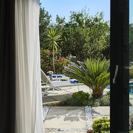 6 * Podstrana