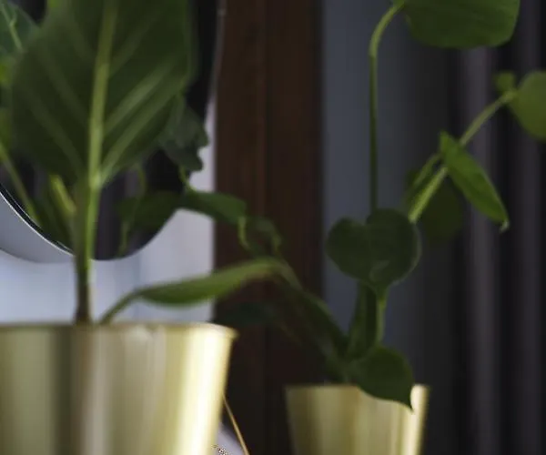 6 ヴィラ ポドストラナ